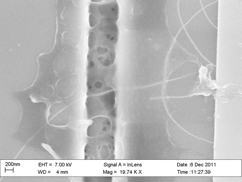 A Carbon Nanotube threading a single cancer cell